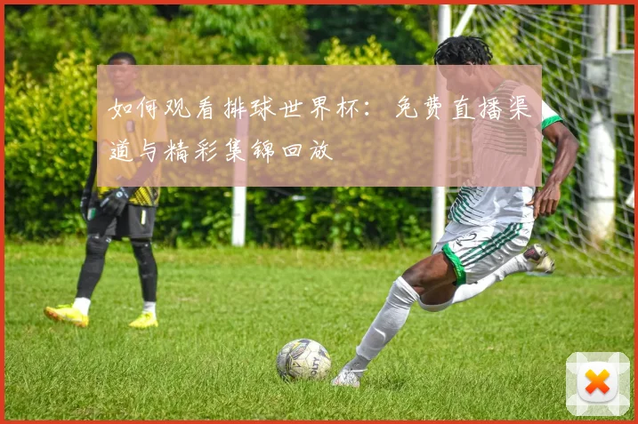 如何观看排球世界杯:免费直播渠道与精彩集锦回放